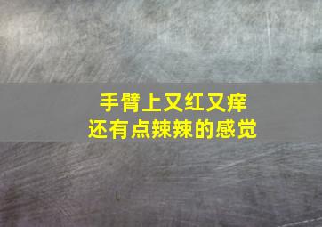 手臂上又红又痒还有点辣辣的感觉