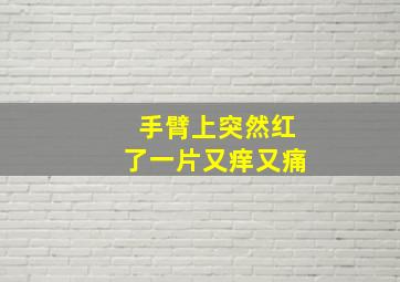 手臂上突然红了一片又痒又痛