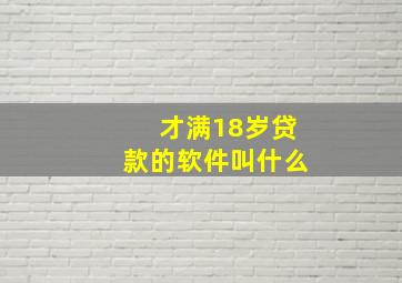 才满18岁贷款的软件叫什么