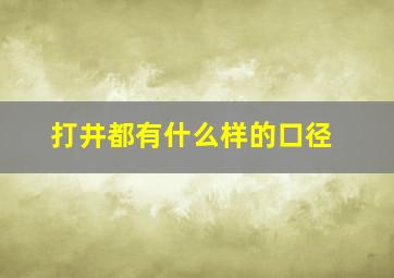 打井都有什么样的口径