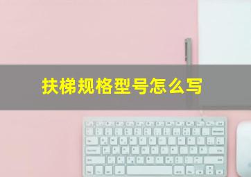 扶梯规格型号怎么写