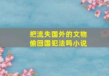 把流失国外的文物偷回国犯法吗小说