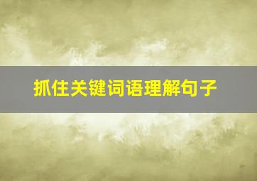 抓住关键词语理解句子