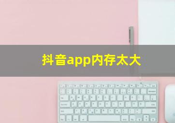 抖音app内存太大