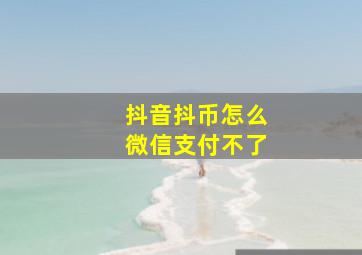 抖音抖币怎么微信支付不了