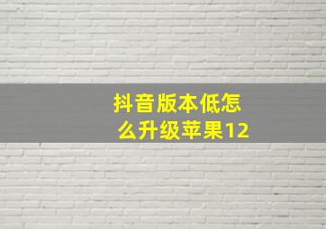 抖音版本低怎么升级苹果12