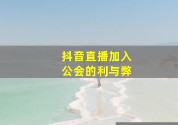 抖音直播加入公会的利与弊