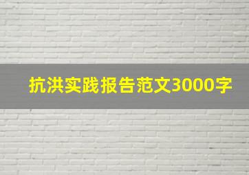 抗洪实践报告范文3000字