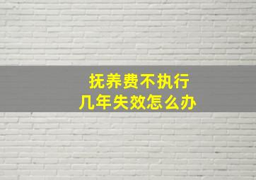 抚养费不执行几年失效怎么办