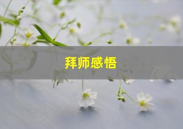 拜师感悟