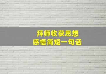 拜师收获思想感悟简短一句话