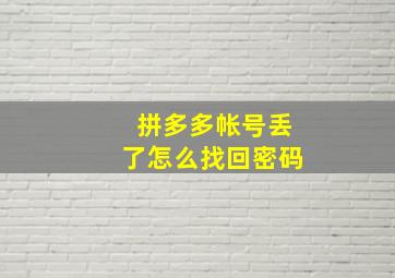 拼多多帐号丢了怎么找回密码