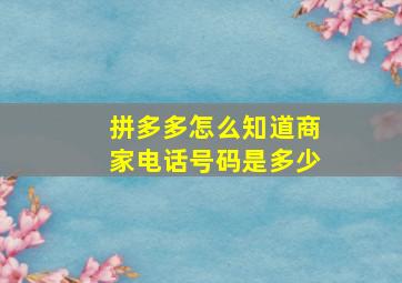 拼多多怎么知道商家电话号码是多少