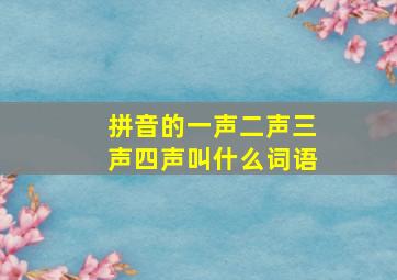 拼音的一声二声三声四声叫什么词语