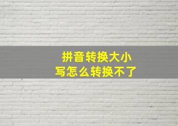 拼音转换大小写怎么转换不了