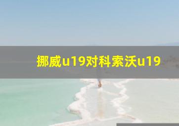 挪威u19对科索沃u19