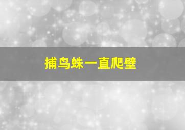 捕鸟蛛一直爬壁