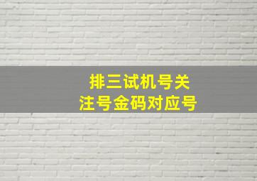 排三试机号关注号金码对应号