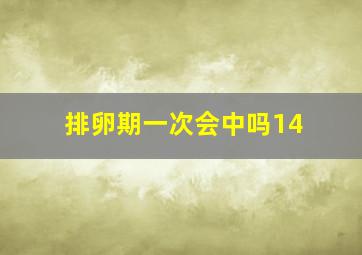 排卵期一次会中吗14