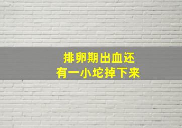 排卵期出血还有一小坨掉下来