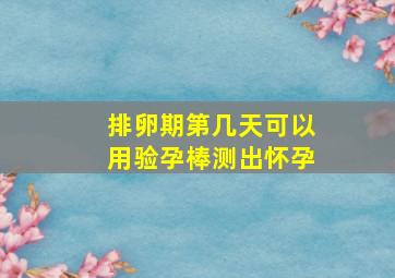 排卵期第几天可以用验孕棒测出怀孕