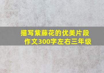 描写紫藤花的优美片段作文300字左右三年级