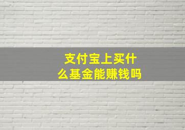 支付宝上买什么基金能赚钱吗