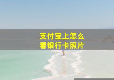 支付宝上怎么看银行卡照片