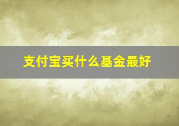 支付宝买什么基金最好