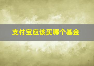 支付宝应该买哪个基金