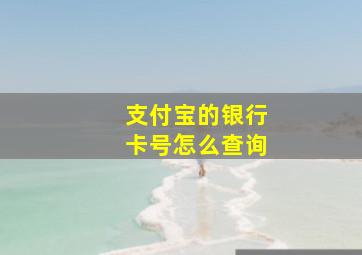 支付宝的银行卡号怎么查询