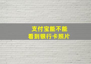 支付宝能不能看到银行卡照片