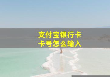 支付宝银行卡卡号怎么输入