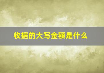 收据的大写金额是什么