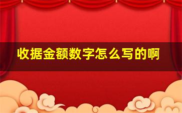 收据金额数字怎么写的啊