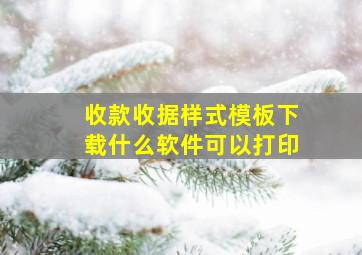 收款收据样式模板下载什么软件可以打印