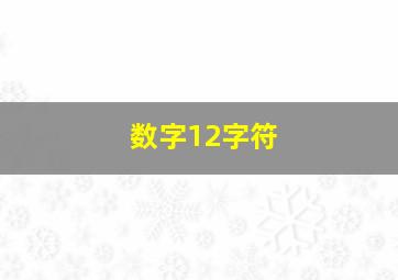 数字12字符