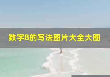 数字8的写法图片大全大图