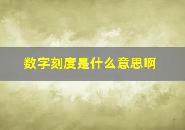 数字刻度是什么意思啊