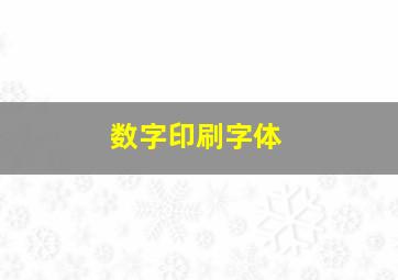 数字印刷字体