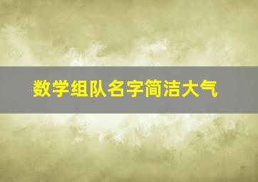 数学组队名字简洁大气