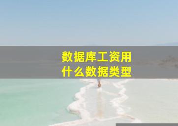 数据库工资用什么数据类型