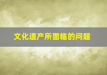 文化遗产所面临的问题