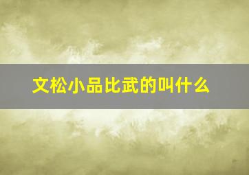 文松小品比武的叫什么