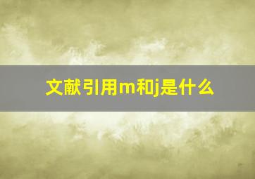 文献引用m和j是什么