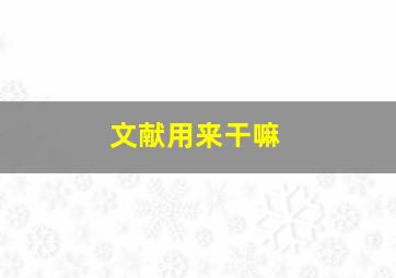 文献用来干嘛