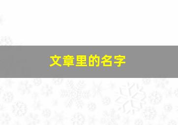 文章里的名字