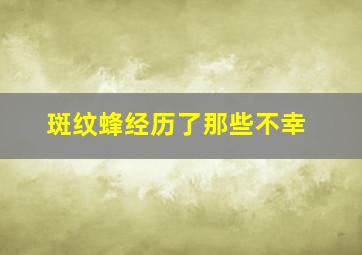 斑纹蜂经历了那些不幸