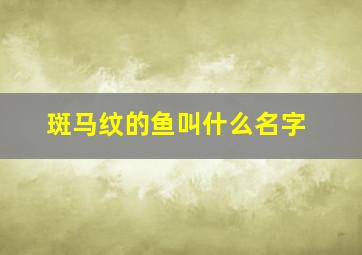 斑马纹的鱼叫什么名字