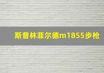 斯普林菲尔德m1855步枪